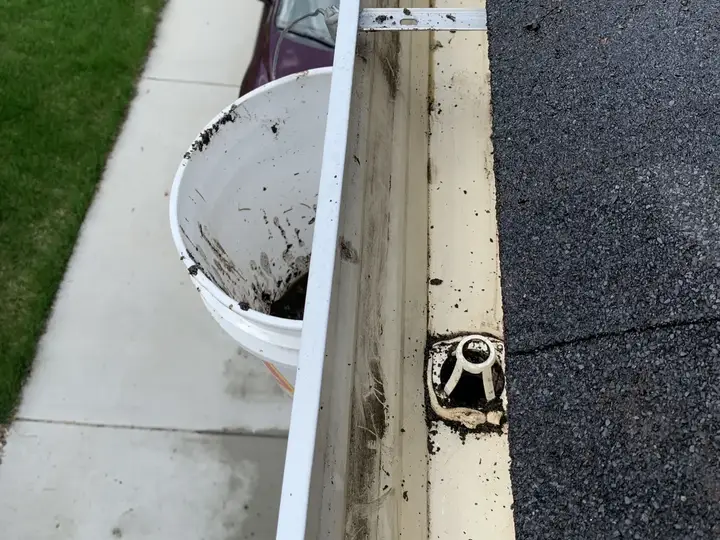 Professional gutter cleaning in progress on a Shuswap home