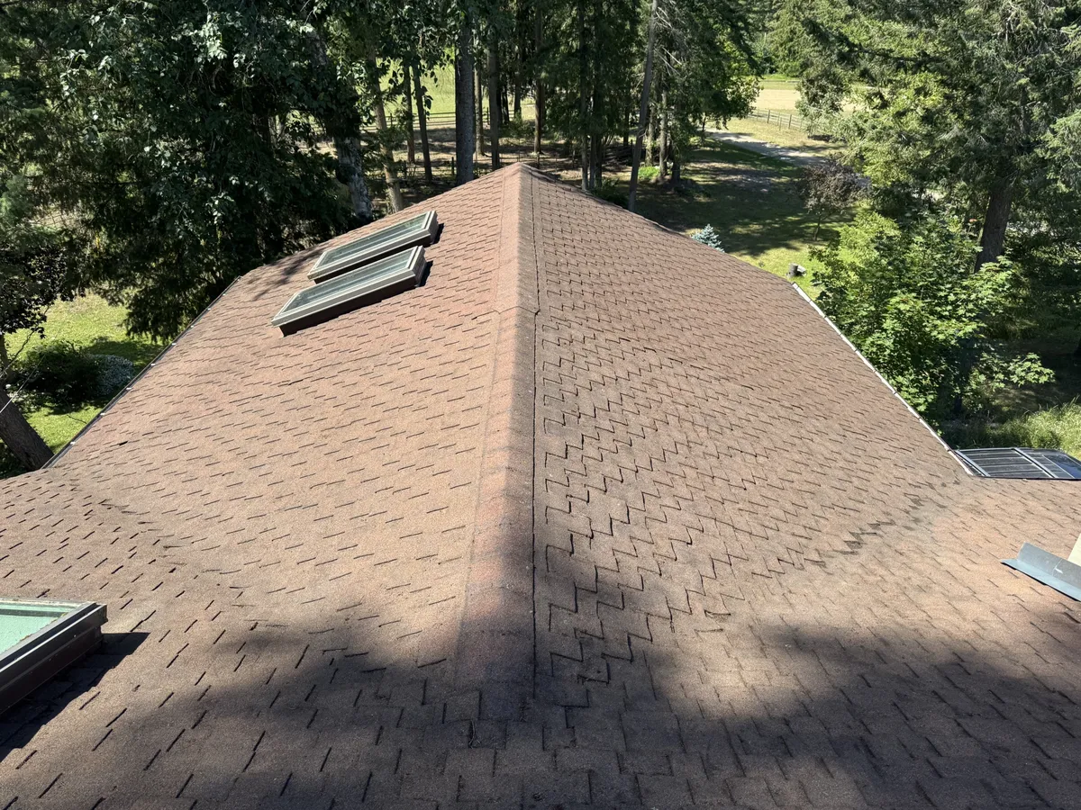 The same roof after professional moss removal