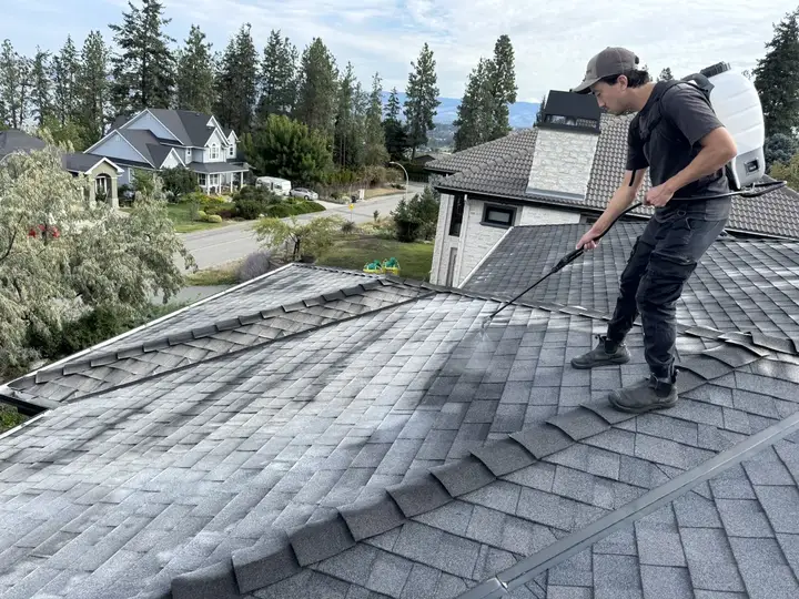 Views Window Cleaning technician removing moss from a roof